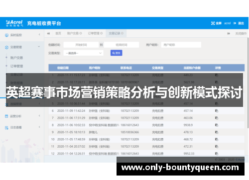 英超赛事市场营销策略分析与创新模式探讨 英超赛事市场营销策略分析与创新模式探讨