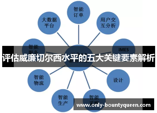评估威廉切尔西水平的五大关键要素解析 评估威廉切尔西水平的五大关键要素解析