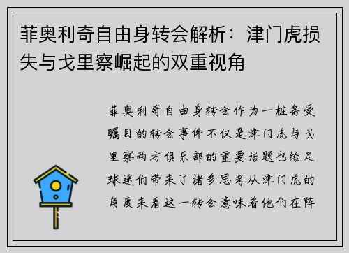 菲奥利奇自由身转会解析:津门虎损失与戈里察崛起的双重视角 菲奥利奇自由身转会解析:津门虎损失与戈里察崛起的双重视角